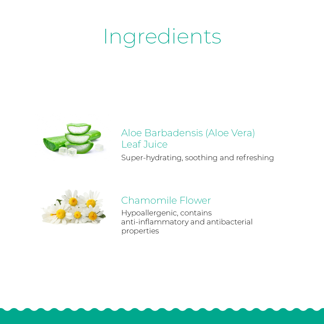 Plant-Based Baby Wipes 80 Sheets - 12 Pack
