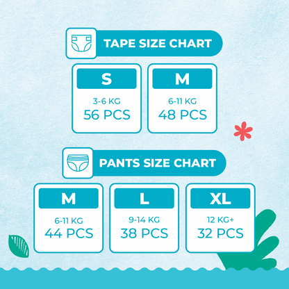 FeatherAir Comfort 5-Pack Bundle